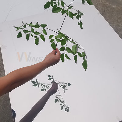 BA đã hoàn thành tấm thép không gỉ siêu gương SUS 430 cán nguội 1500mm